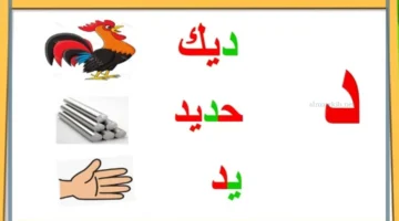 كلمات تبدأ بالدال