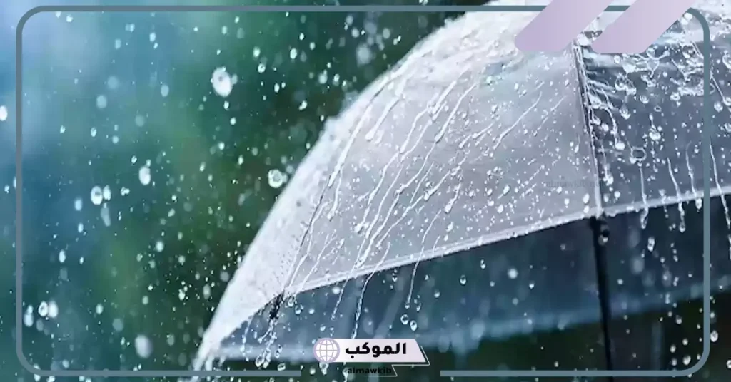 كلمات عن المطر والشتاء