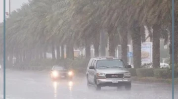 مناخ المملكة