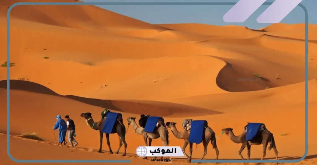 سبب تسمية عائلة نملة فهذا الاسم