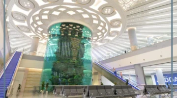 وقف الرحلات الجوية