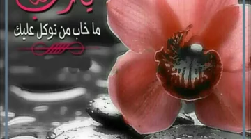 أدعية للزوجة