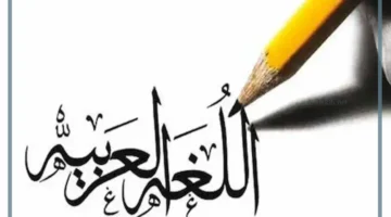 الألف الممدودة بالكلمات