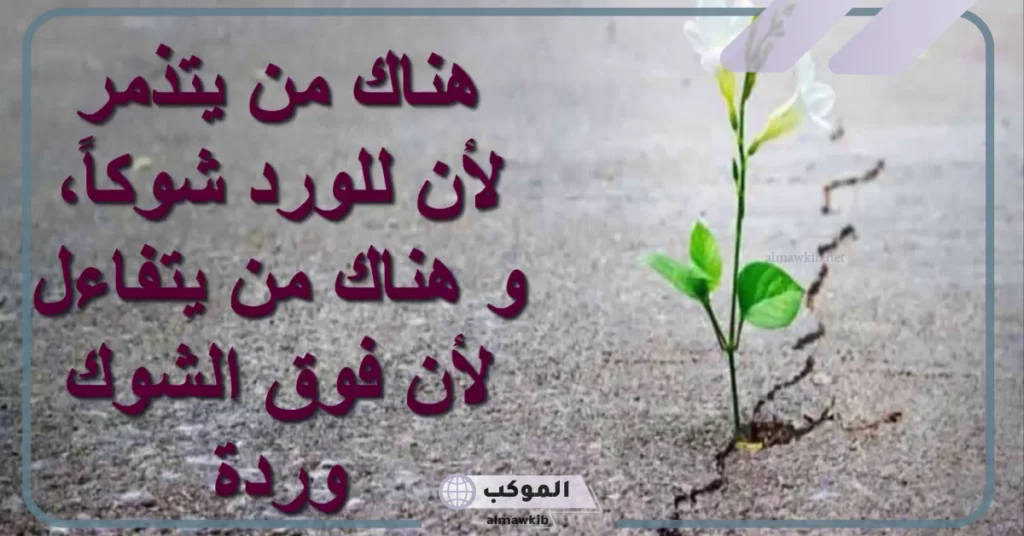 عبارات عن الأمل والصبر 