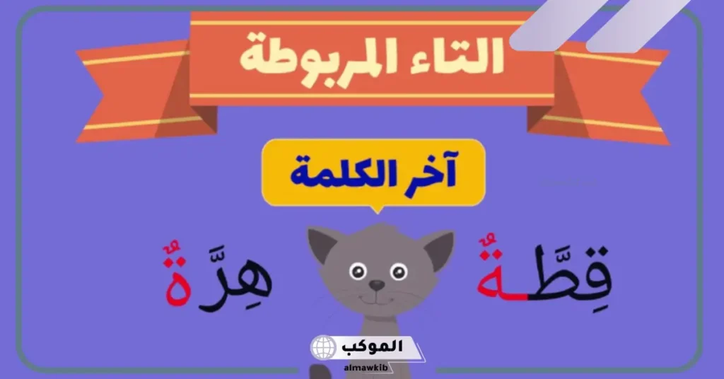 كلمات تنتهي بتاء مربوطة منفصلة 