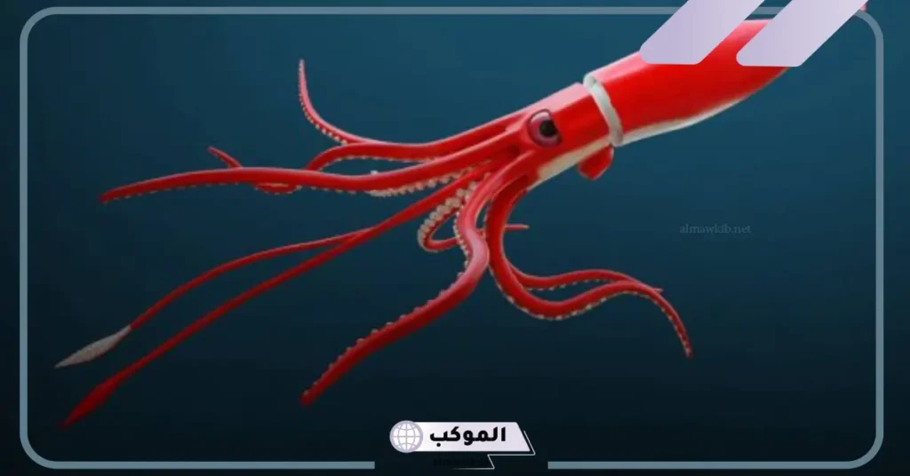 أضخم الحيوانات اللافقرية بالأنواع وأهم المعلومات عنها 5 من الحيوانات اللافقارية من 6 حروف