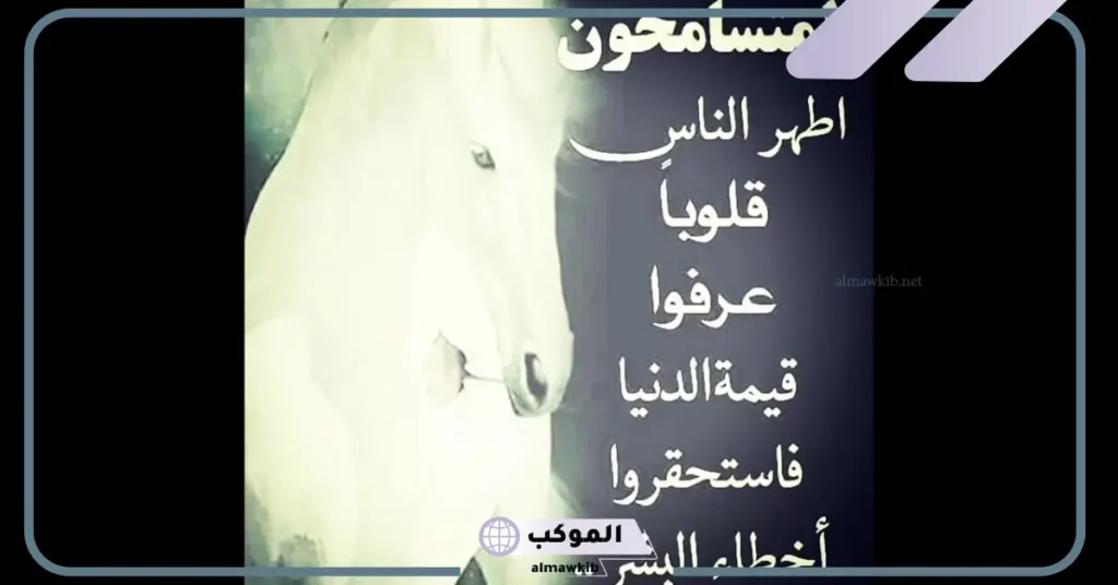 عبارات عن التسامح للاطفال