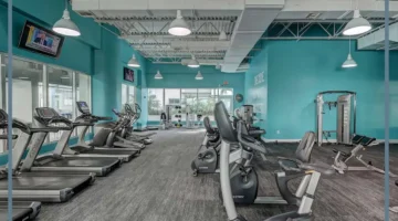 الغزال الطائر