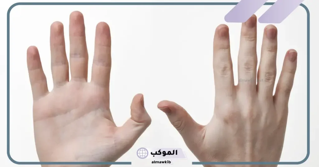 اليد في المنام للمتزوجة