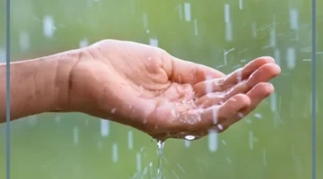 حلم مطر للمهموم