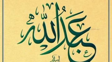 حلمت باسم عبد الله