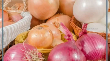 حلمت بالبصل