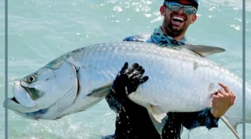 حلمت بالصيد