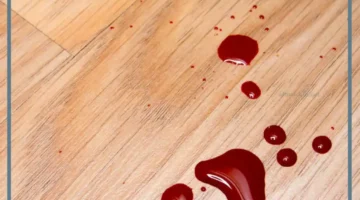 حلمت بدم الحيض