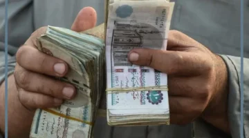 حلمت بسرقة المال