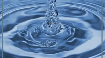 حلمت بماء للعزباء