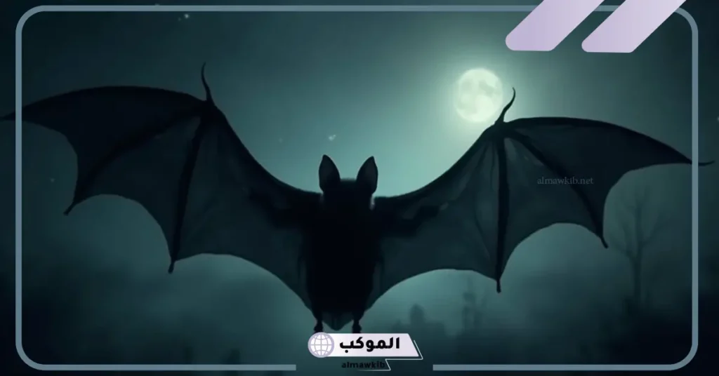 تفسير حلم الخفاش الأسود