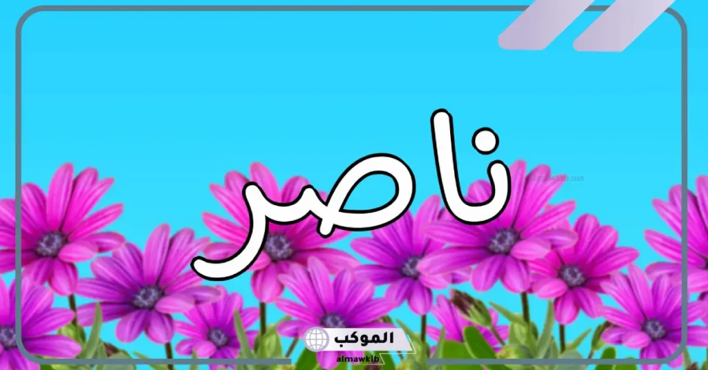 معنى اسم ناصر في المنام للعزباء