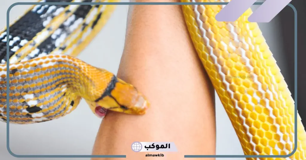 تفسير حلم قرصة الثعبان في القدم للمتزوجة لابن سيرين