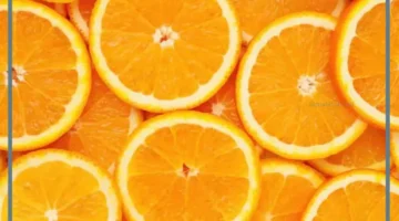 شجرة البرتقال في الحلم