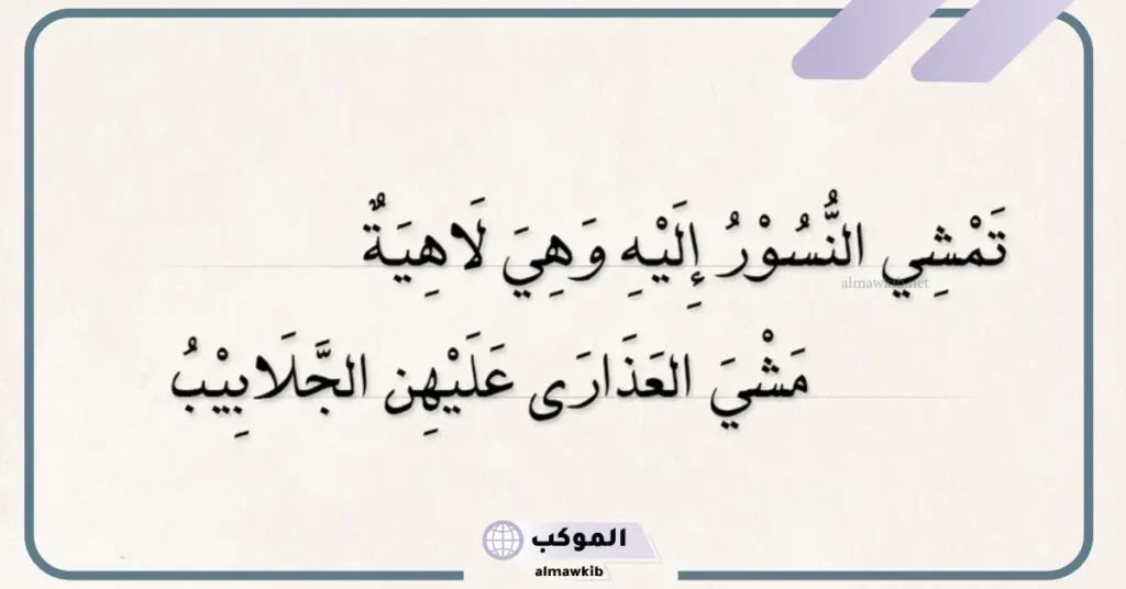 شعر جنوبي غزل، أجمل قصائد من الشعر الجنوبي 6 شعر عن اهل الجنوب قصير