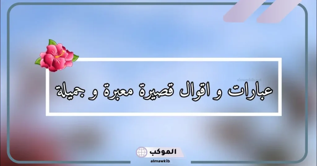 عبارات راقية قصيرة جدًا