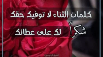 عبارات شكر وامتنان