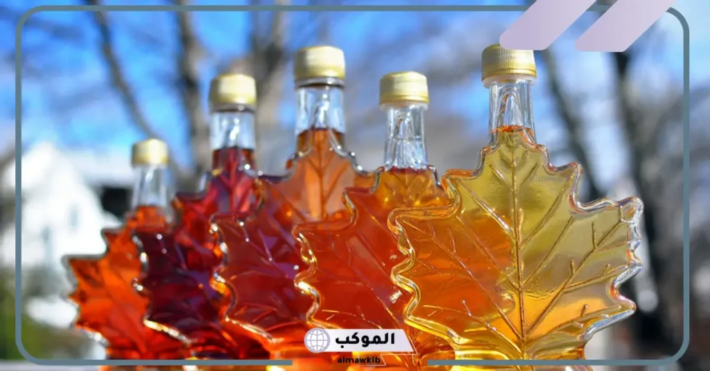 فوائد شراب القيقب للرجيم 