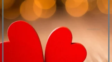 كلام عن الحب الحقيقي