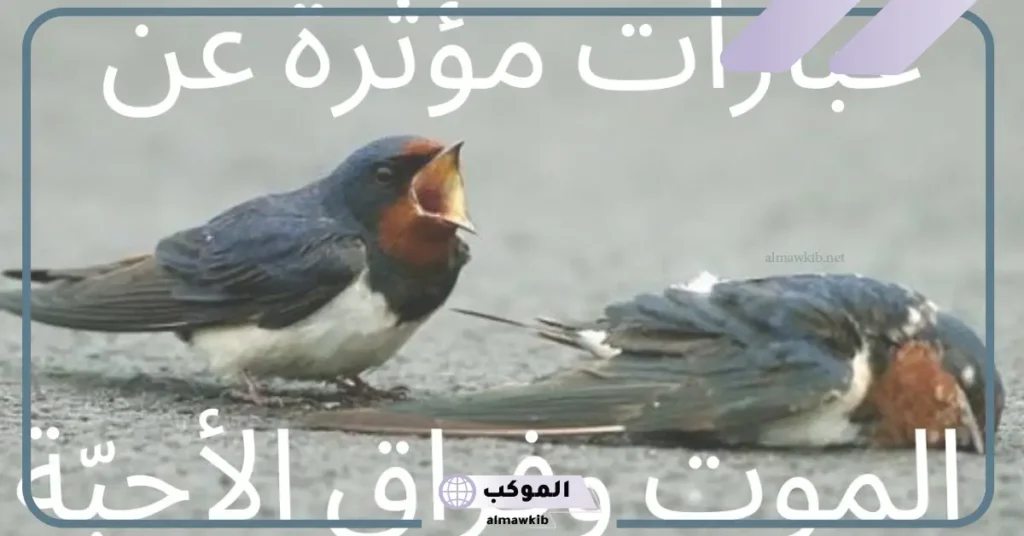 كلمات عن الموت والرحيل وفراق الأحباب، عبارات حزينة عن الموت 5 عبارات عن موت شخص غالي