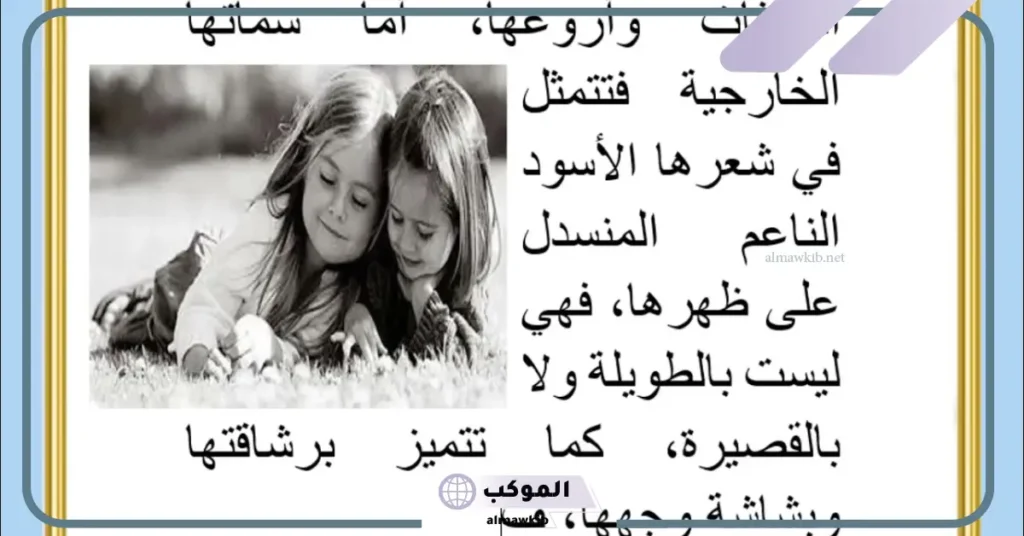 وصف صديقتي في فقرة قصيرة