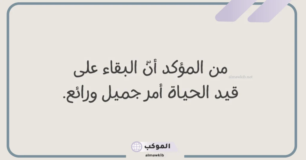 اجمل الحالات للواتس آب قصيرة جديدة جميلة، عبارات واتس اب قوية مقصودة 2025 5 حالات واتس مميزة ونادرة