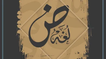 أجمل عبارة بالعربية الفصحى