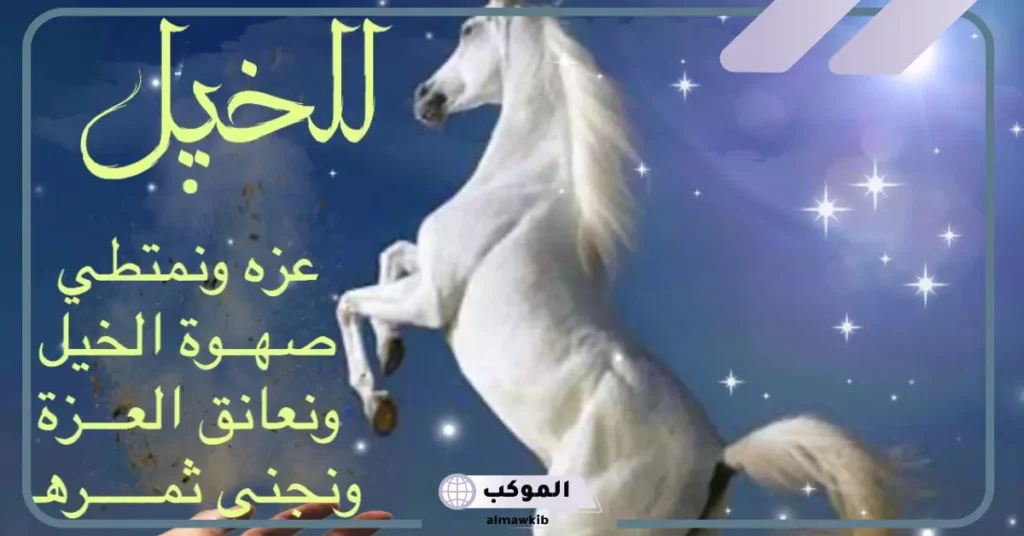 عبارات عن الخيل قصيرة، أجمل ما قيل عن الخيل تويتر 6 عبارات عن الخيل والخيال