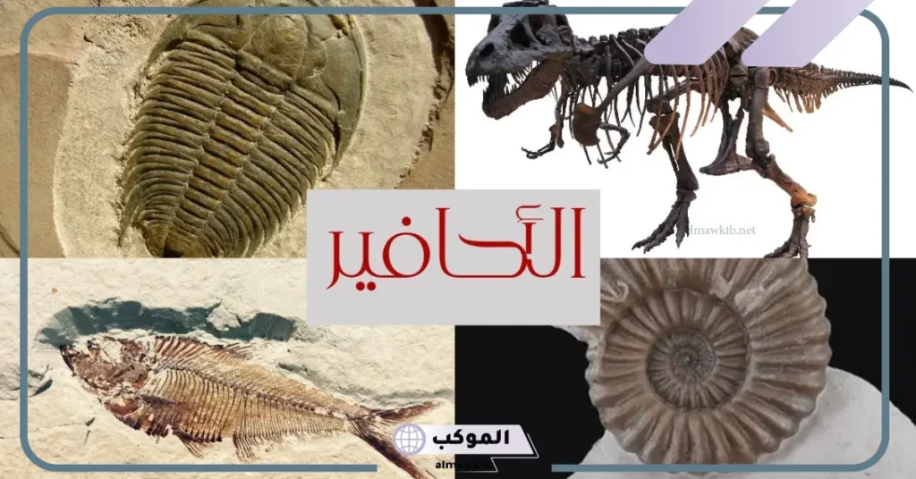 خاتمة بحث عن الأحافير 