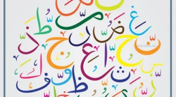 أفكار ليوم اللغة العربية