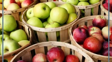 أهم التأويلات لرؤية أكل التفاح