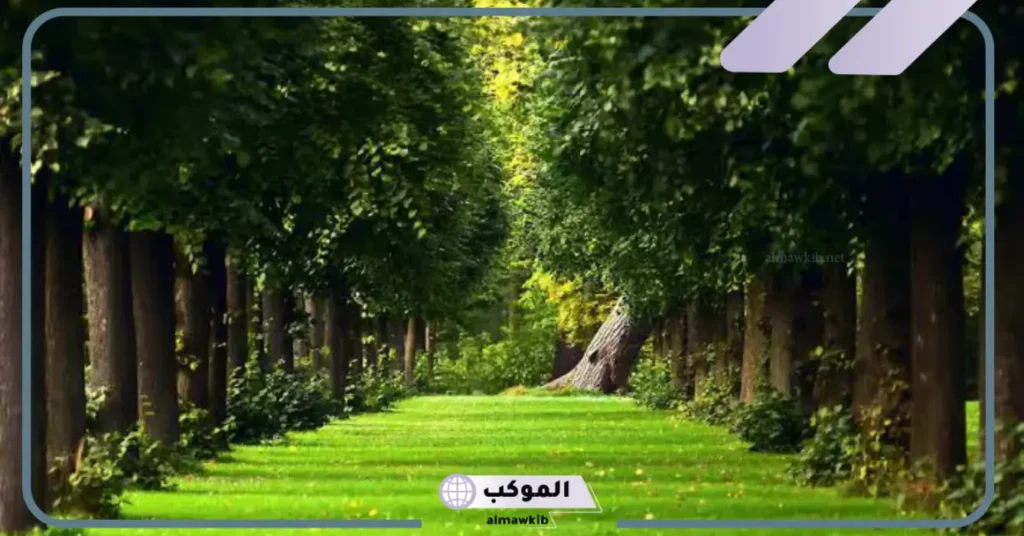 تفسير حلم المزرعه والأرض الخضراء في المنام للعزباء لابن سيرين 6 تفسير حلم المزرعة للرجل المتزوج