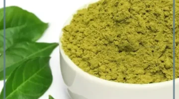 أهمية السدر