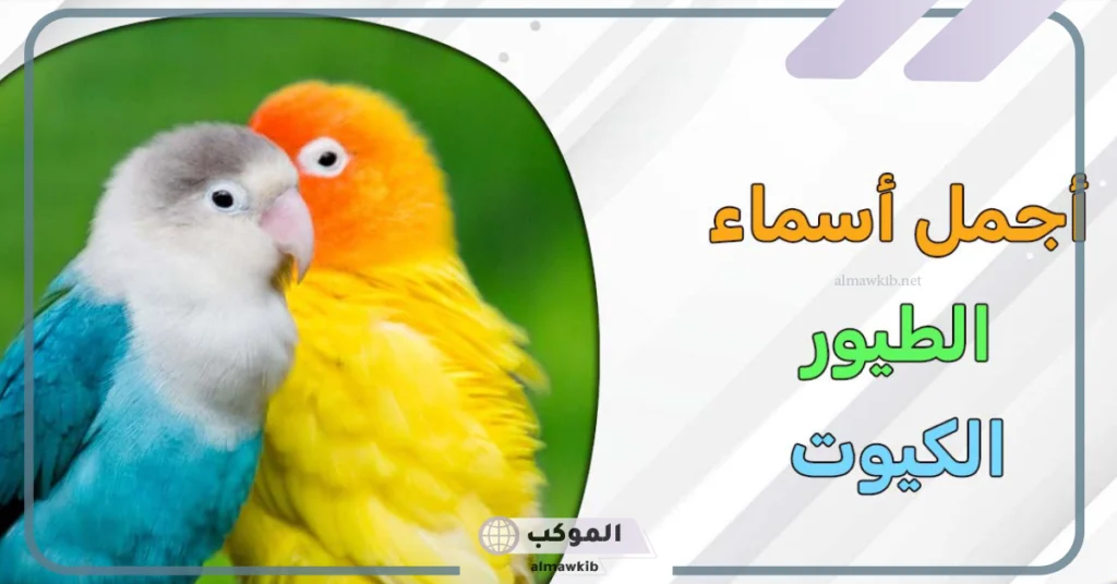 أسامي عصافير أنثى 