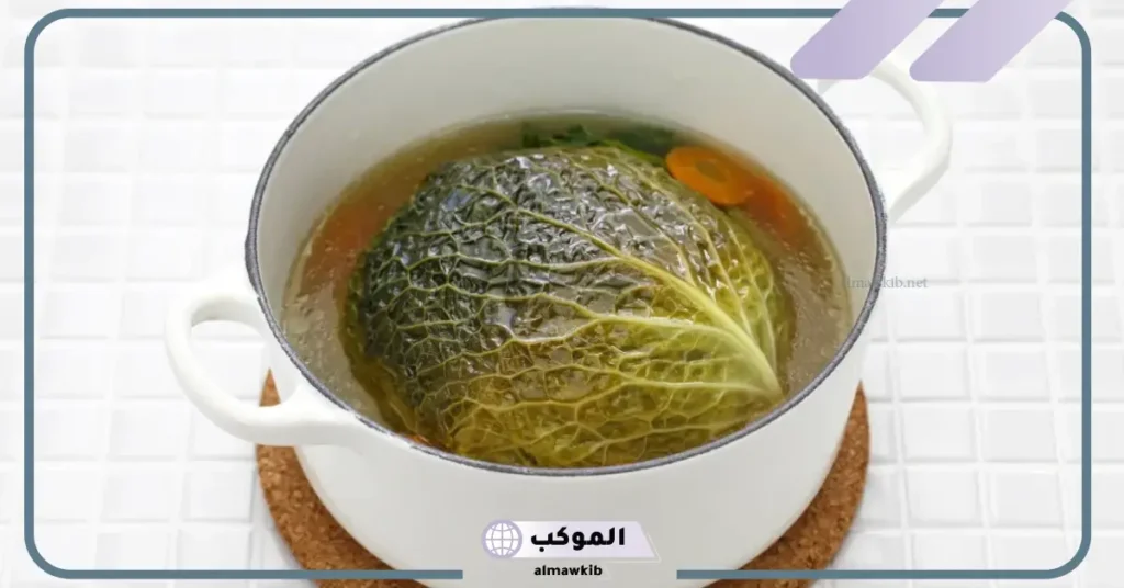 تجربتي مع عصير الملفوف لعلاج التهاب الأمعاء والنتيجة 6 فوائد عصير الملفوف لجرثومة المعدة