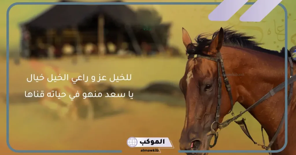 عبارات عن الخيل قصيرة، أجمل ما قيل عن الخيل تويتر 5 عبارات عن الخيل انستقرام
