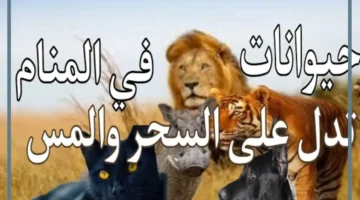 الأحلام التي تدل على تعطيل الزواج بسبب الحسد