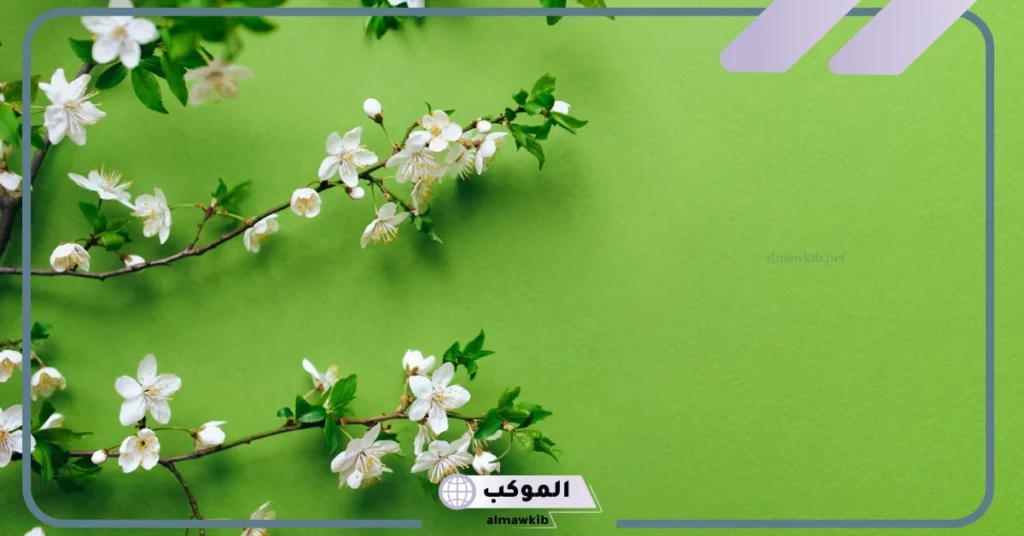 ما هي دلالة اللون الأخضر وما هو رمزه؟ لون أخضر فاتح 6 دلالة اللون الأخضر في التصميم