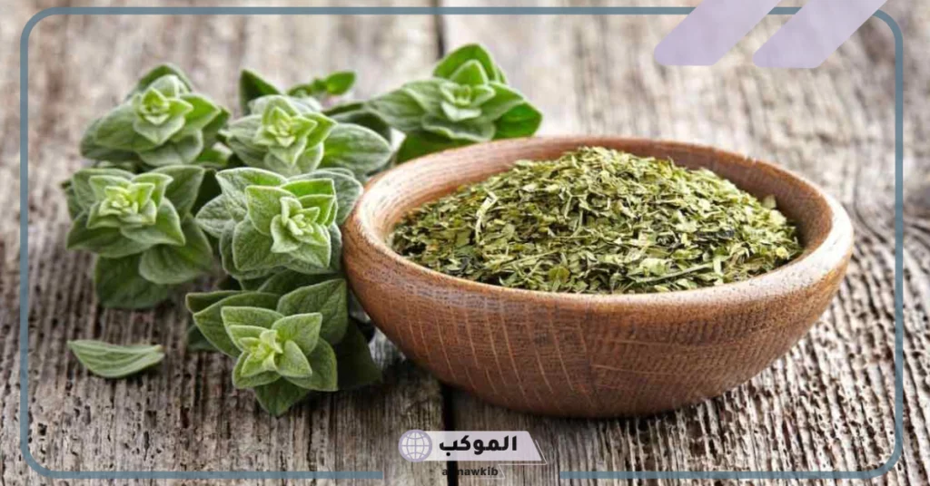 فوائد البردقوش للتكيسات وهرمون الحليب 