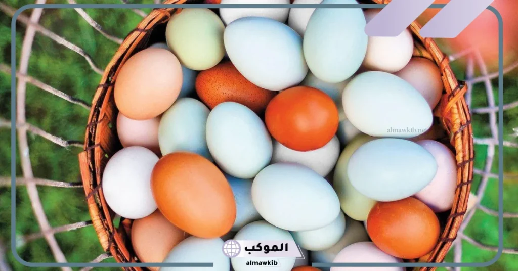 رؤية البيض في المنام للرجل