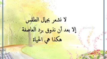 الجو الرائع