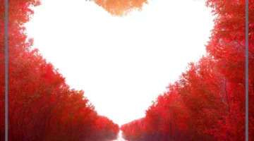 الحب والعشق والغرام