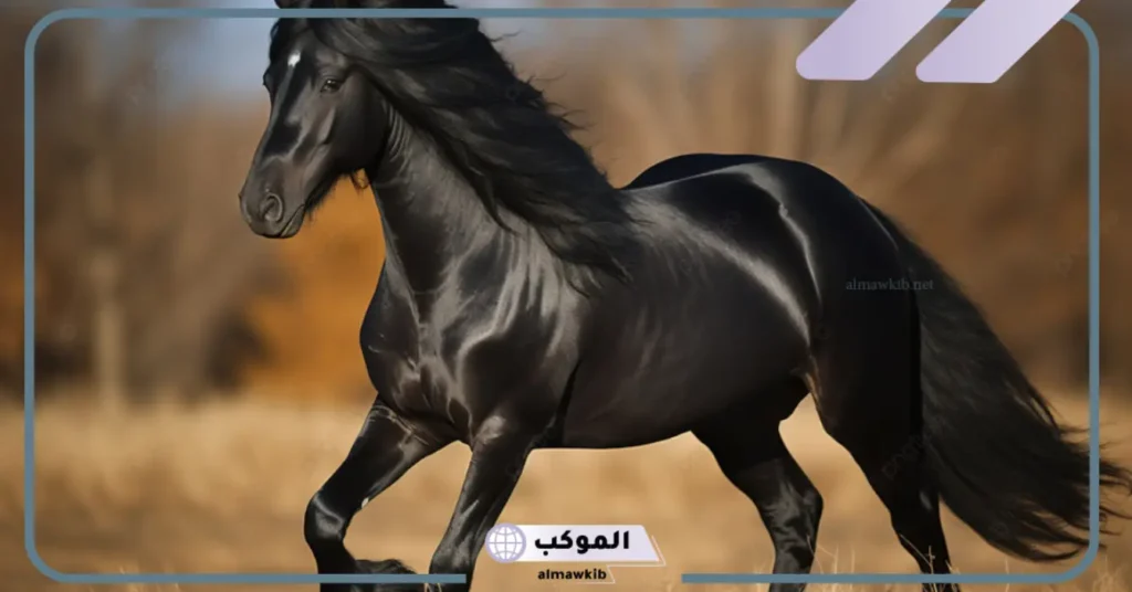 تفسير حلم الحصان البني  