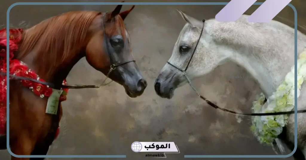 شعر عن حب الخيل 
